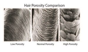 High Porosity Hair: 7 tips to care for high porosity hair